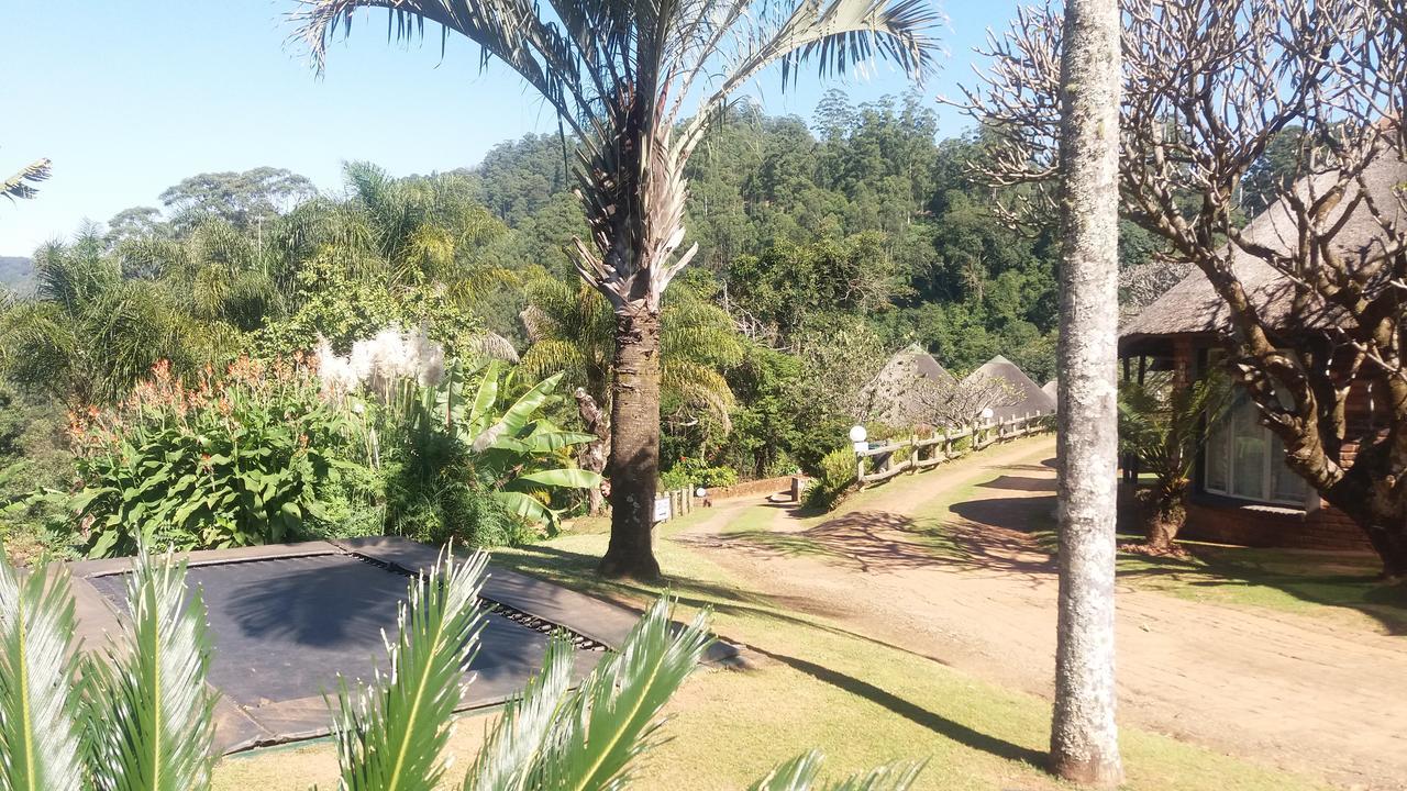 Magoebaskloof Mountain Lodge Tzaneen Extérieur photo